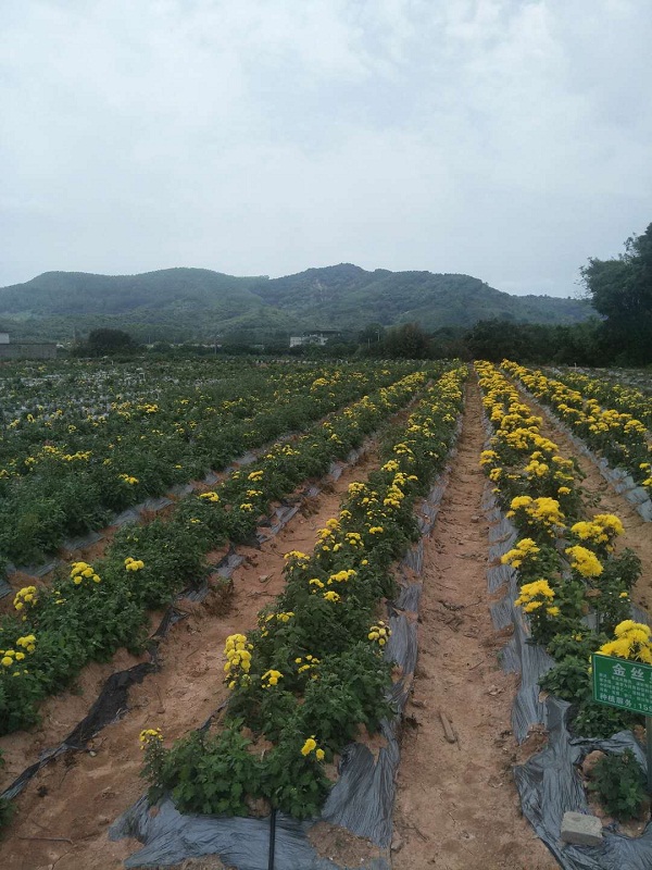 微信圖片_20200516081910.jpg