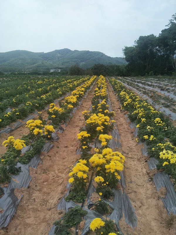微信圖片_20200516081918.jpg