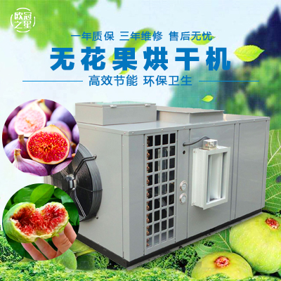 歐冠無(wú)花果烘干機(jī)