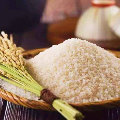糧食烘干機(jī)保養(yǎng)的的幾個(gè)要點(diǎn)